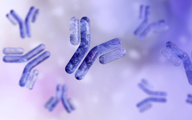 A computer-rendered image of human antibodies